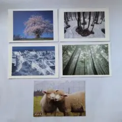 Item thumbnail for item e228cb01-9a20-43bd-8656-3f1edecc7927