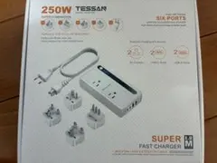 TESSAN 250W 旅行用アダプター 220vから100v