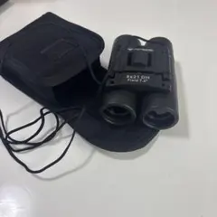 Item thumbnail for item 6b13229a-e66a-4871-b43a-ea5d18b81ca7