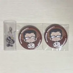 まじめにヤバシティ エーミール 缶バッジ 看板コレクション まとめ売り