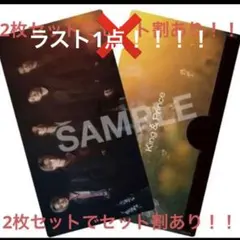 ラスト1点！！送料込み！キンプリ ツキヨミ彩り会場限定チケットホルダー1枚価格