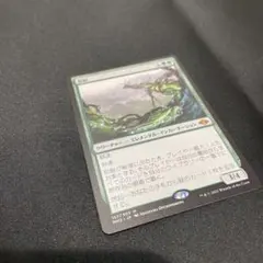 風景の変容 foil M19 日1枚 - メルカリ