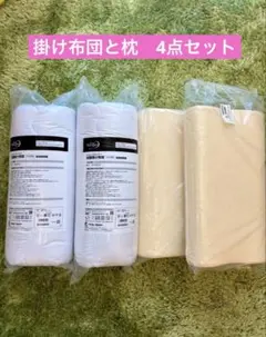 値下【新品未使用】True Sleeper 抗菌掛け布団 シングル&枕4点セット