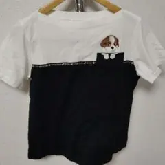 M クニオコレクション　半袖Ｔシャツ