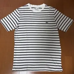 LACOSTE ラコステ ボーダー Tシャツ ホワイト