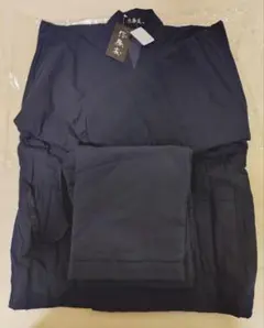 Item thumbnail for item 9c85f34e-14db-4380-bda9-831aaa633fbf