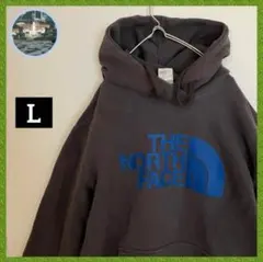 ノースフェイス ビッグロゴ フェード スウェット パーカー 袖太 フーディー