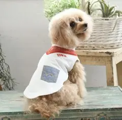 EDWIN バンダナ風メッシュ犬服 レッドSのサムネイル