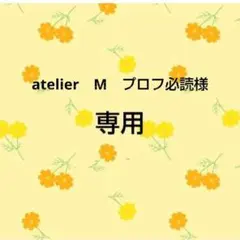 atelier　M　プロフ必読様　同梱品
