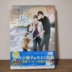 《blコミック》雛鳥は汐風にまどろむ /南月ゆう 商業bl BL
