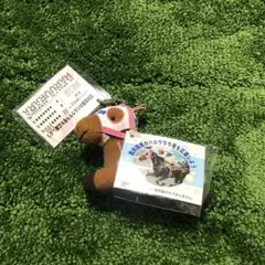 ラピトリン様 リクエスト 2点 まとめ商品