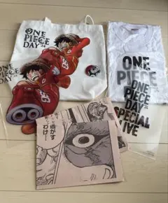one piece day