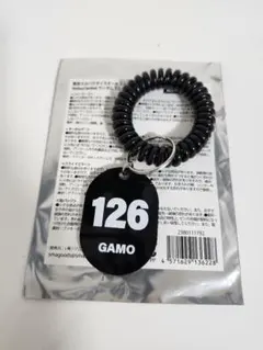【開封のみ】スカパラ ランダムグッズ アクリルキーチャームGAMO②のサムネイル