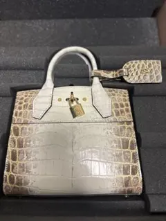 希少！未使用品！国内正規ヒマラヤ　シティスティーマー