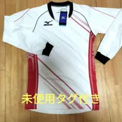 Item thumbnail for item d8992054-940a-4137-994d-ac9d1678a553