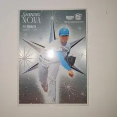 柴田獅子 北海道日本ハムファイターズ BBM 2025 2nd