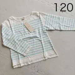 プティマイン パネルボーダー ロンT 長袖Tシャツ 120