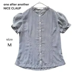 Item thumbnail for item ddc45118-1137-4a77-a39b-664314919ea3