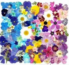 Item thumbnail for item 48ba34d3-91da-4e4d-90e5-ebd3528545bf