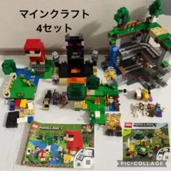 2026年最新】レゴ 21169の人気アイテム - メルカリ