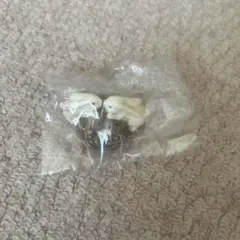 うさぎ　置物　くるみ