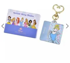 ディズニーストア　プリンセス　シークレットキーチェーン　ジャスミン