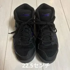 ASICS DUNKSPOT ブラック/パープル シューズ