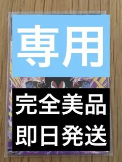 さーや様 リクエスト 2点 まとめ商品
