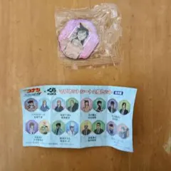 ビッくらポン！　名探偵コナン　マグネットシート2個セット　毛利蘭＆世良真純