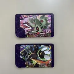 ポケモンフレンダ　ベストタッグ　ジガルデ　バンギラス