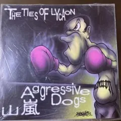 激レア☆レコード☆山嵐&AGGRESSIVE DOGS - メルカリ