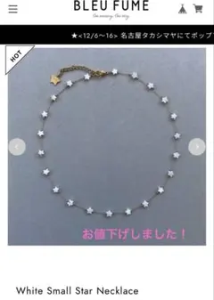 BLEU FUMÉ 美品 White Small Star Necklace