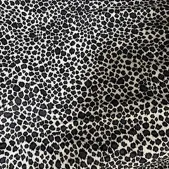 Item thumbnail for item ca42aafc-7f4f-4330-8665-1f6954069cbe