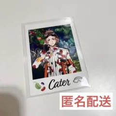 ツイステ展 ランダムカードコレクション イベント衣装　ケイト1点