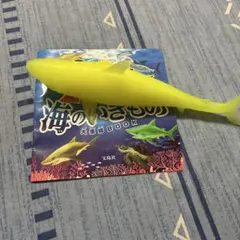 最強リアル海のいきもの サメ フィギュア＆解説冊子