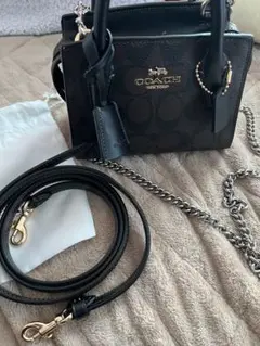 COACHアンドレア ミニ キャリーオール・シグネチャー キャンバス