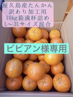 2026年最新】たんかん 屋久島の人気アイテム - メルカリ
