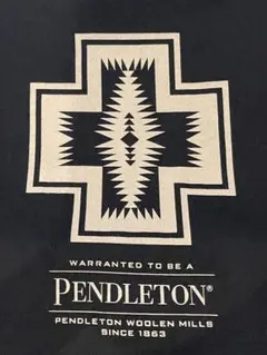 PENDLETON ペンドルトン バックプリントTシャツ BIGシルエット