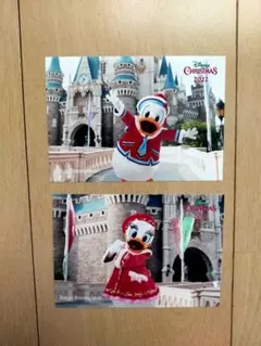 ミッキーマウス ジムショア クリスマス 屋内外用43cm Amazon.co