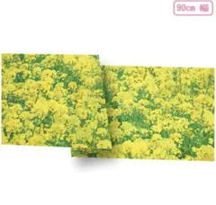 Item thumbnail for item a9f3899f-27a1-4d87-a495-dee6aec82041