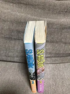 SLAM DUNK スラムダンク 2巻 3巻 漫画 コミック