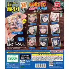 豆ガシャ色紙 NARUTO-ナルト- 疾風伝 第三弾 全10種 コンプ