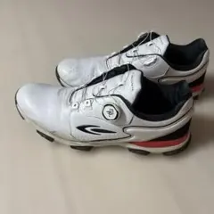 ゴルフシューズ 29.0
