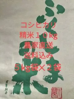 令和7年福島県産 コシヒカリ 20kg 精米 10kg袋✕2袋 農家直送送料