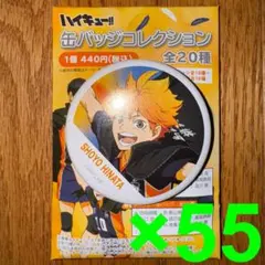 ハイキュー‼︎　横断幕　缶バッジ　日向翔陽　55個セット
