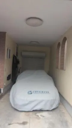 Item thumbnail for item 21790752-f2ff-4144-bcaa-c2a11077df49