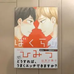 山本小鉄子　ぼくらのひみつ　初版本