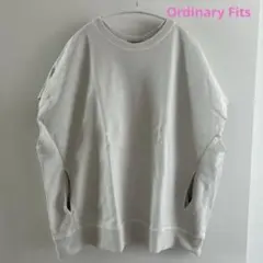 ORDINARY FITSオーディナリーフィッツ INL AY VEST【希少】