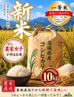2026年最新】コシヒカリ 米・雑穀・粉類の人気アイテム - メルカリ