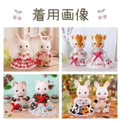 着用イメージです